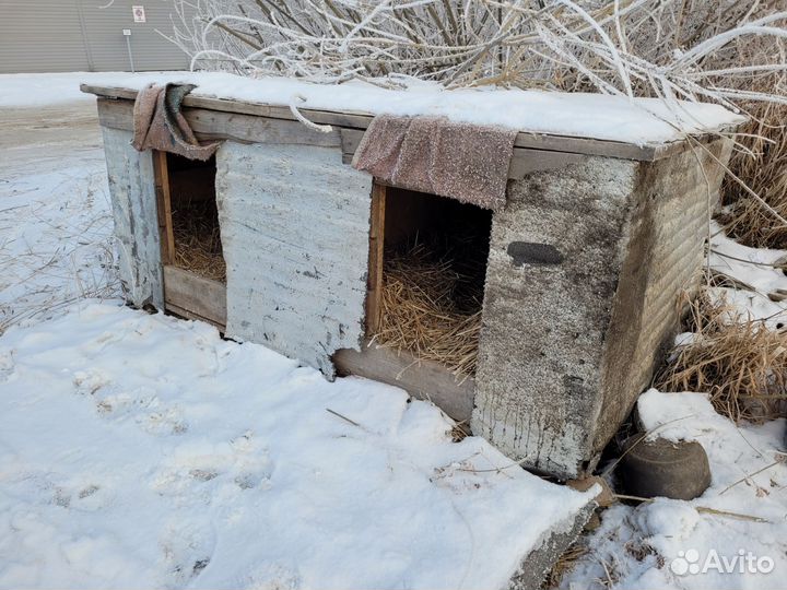 Будка для собаки утепленная