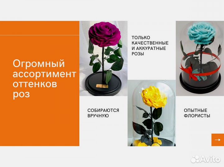 Розы в колбе разные