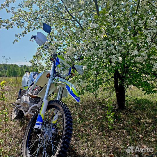 Продам Avantis 250