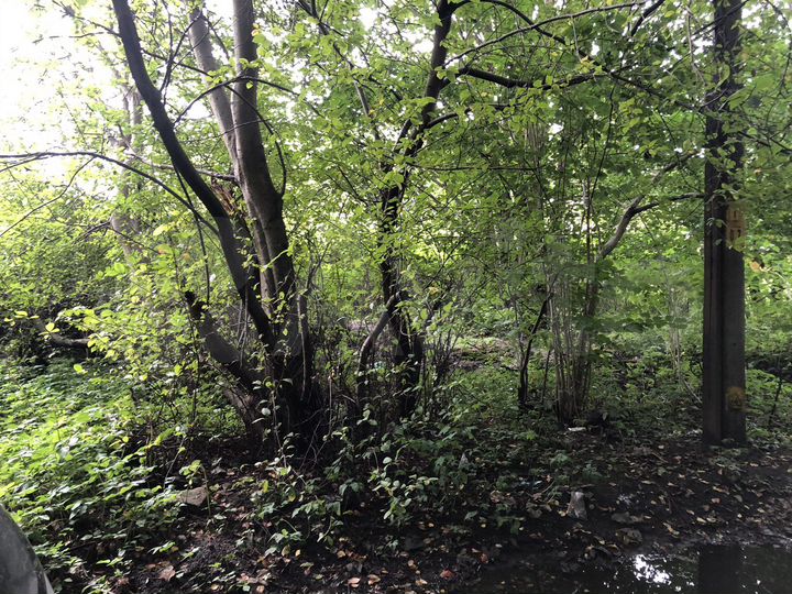 Участок 8,3 сот. (ИЖС)