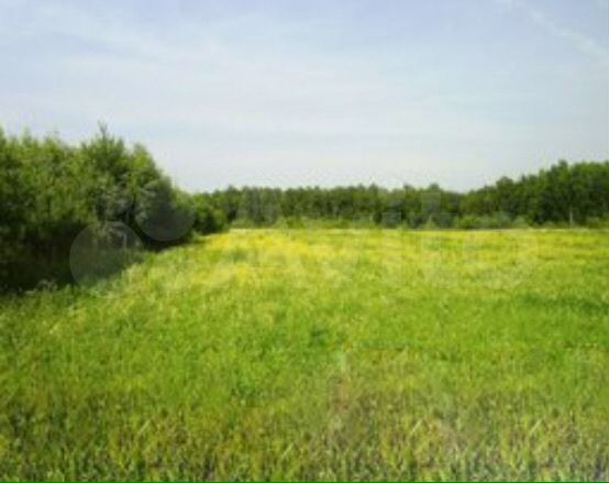 Участок 7 га (СНТ, ДНП)