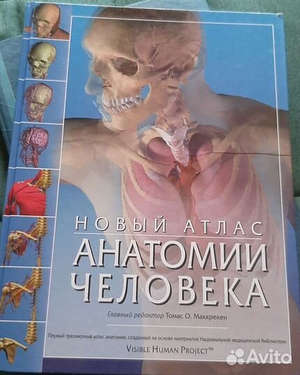 Книга по анатомии