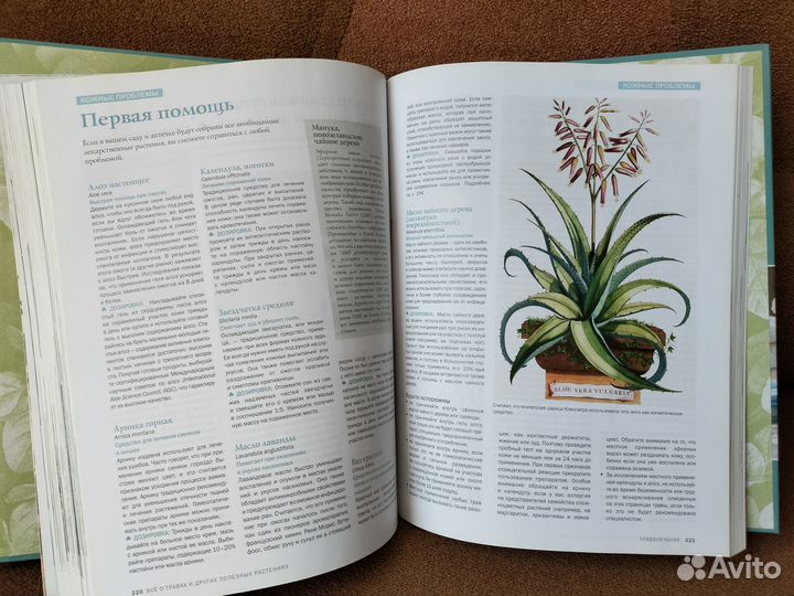 Книги Домашний доктор