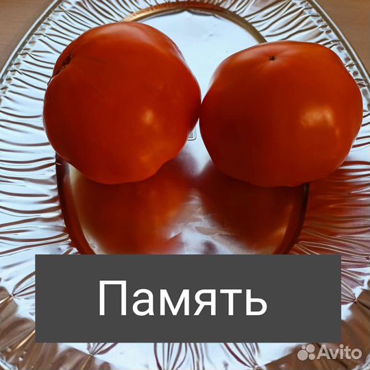 Семена томатов