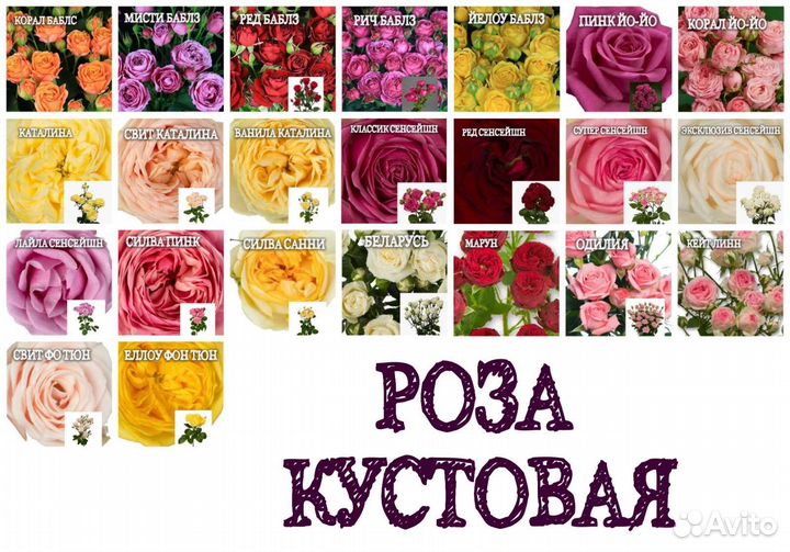Цветы для любимых