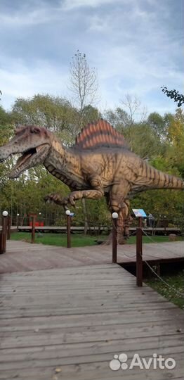 Билеты в дино парк