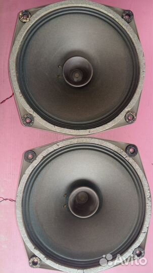 Динамики RFT / ломо 12'(32см.)