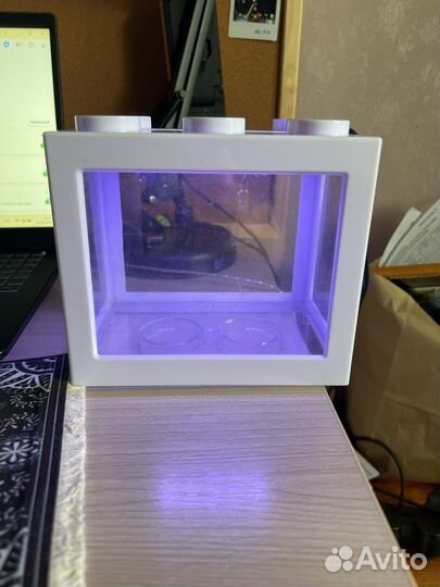 Мини аквариум