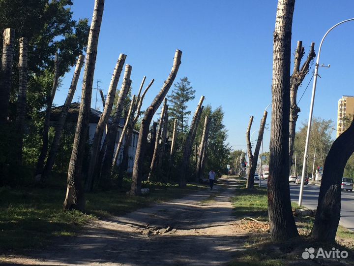 Грузчик на уборку веток