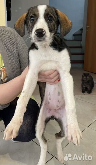 Девочка с розовым носом