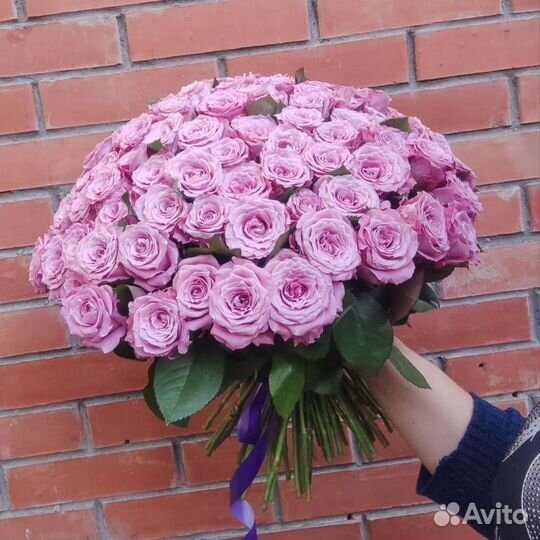 Сиреневые розы. Фиолетовые розы. Розы Голландия