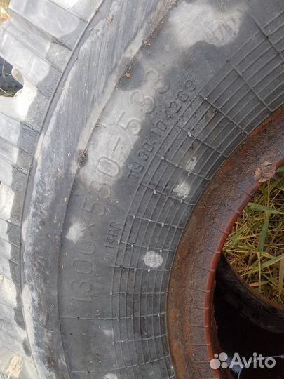 Шины 1300*530-533 лаптежник