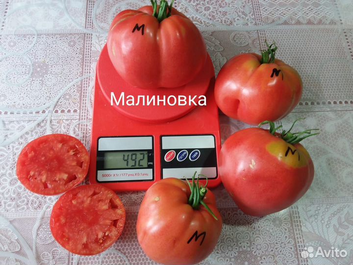 Семена томатов