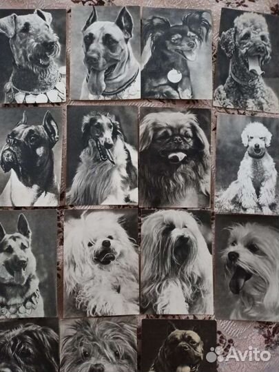 Открытки СССР 68-69г