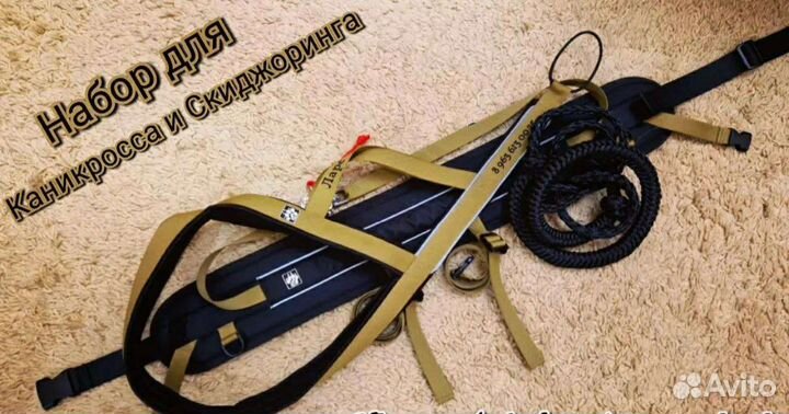 Шлейки и амуниция для собаки