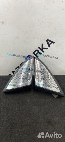 Накладка (сетка) динамика BMW 5 G30/G31 2020