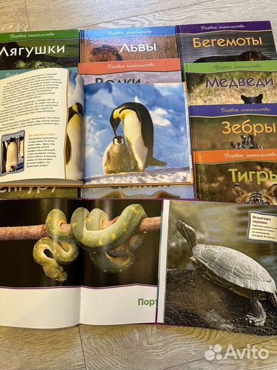 Серия книг о природе Первое знакомство