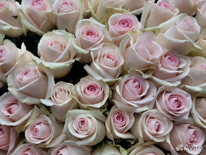 Доставка цветов и букетов