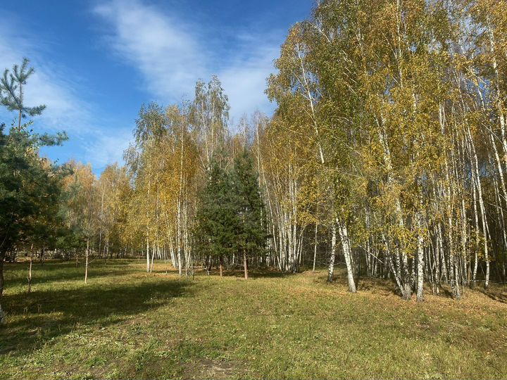 Участок 8 сот. (ИЖС)