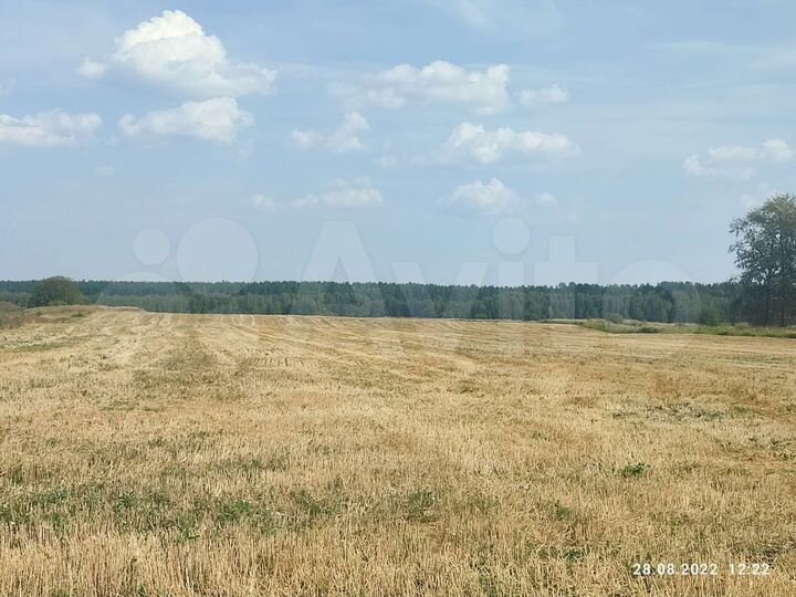Участок 5 га (СНТ, ДНП)