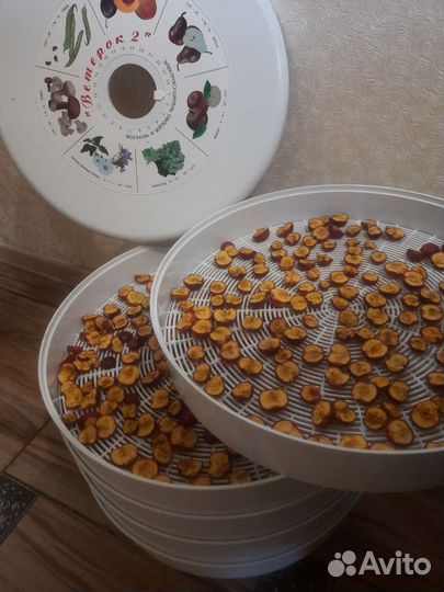 Сушилка для овощей и фруктов ветерок 2