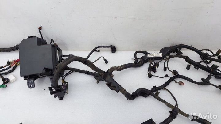 Проводка подкапотная Kia Sorento XM G4KE 2011