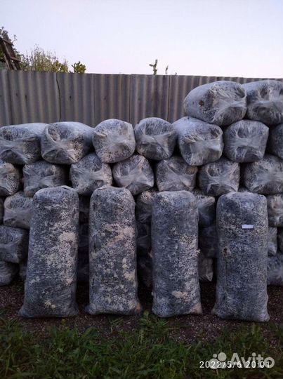 Грибные блоки вешенки