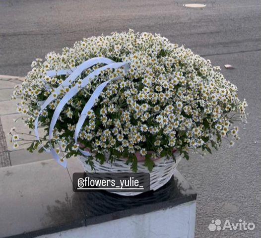 Ромашка, корзина из ромашек, цветы букеты