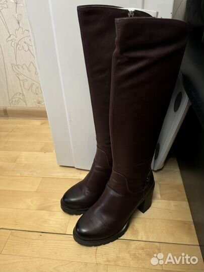Ботфорты Сапоги демисезонные