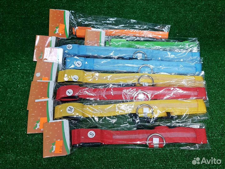 Светящиеся ошейники