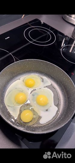 Яйцо куриное оптом от 1 коробки