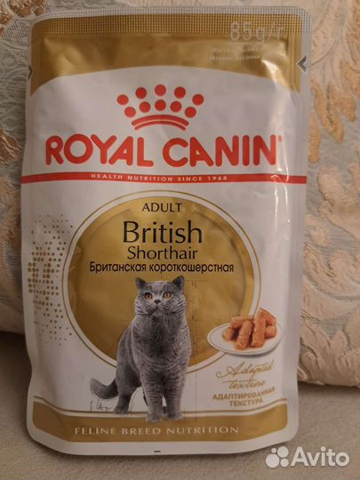 Влажный корм для кошек royal canin