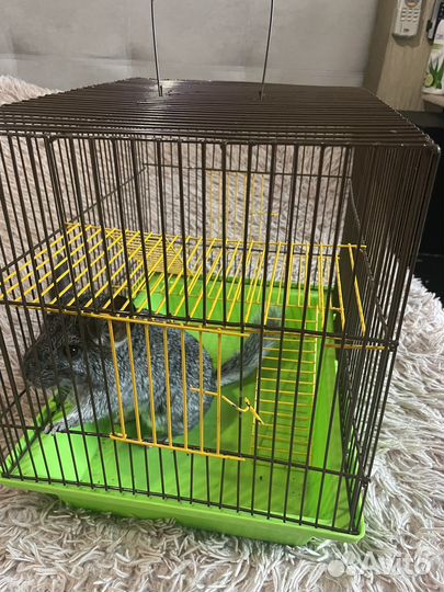 Клетки новые.Разные размеры