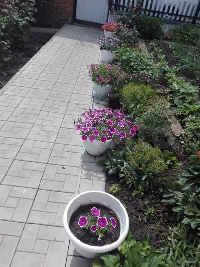 Дом 126 м² на участке 8,5 сот.