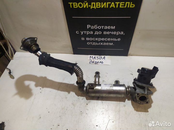 Радиатор EGR Ford Focus hhda