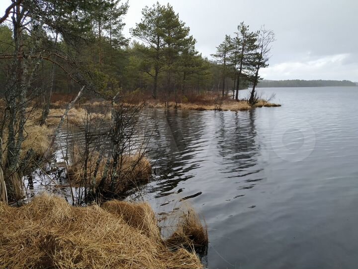 Дом 54 м² на участке 15 сот.