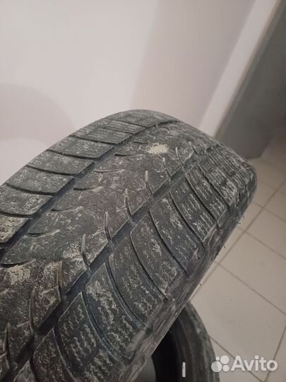 Triangle Winter A/T 19.5/55 R16