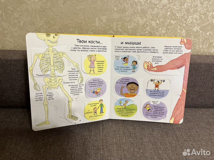 Секреты человека робинс