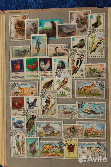 Почтовые марки