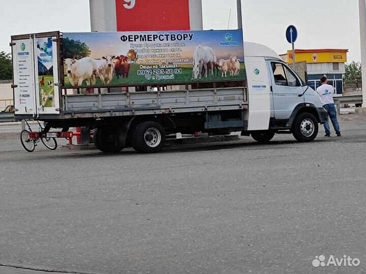 Перевозка животных.грузоперевозка