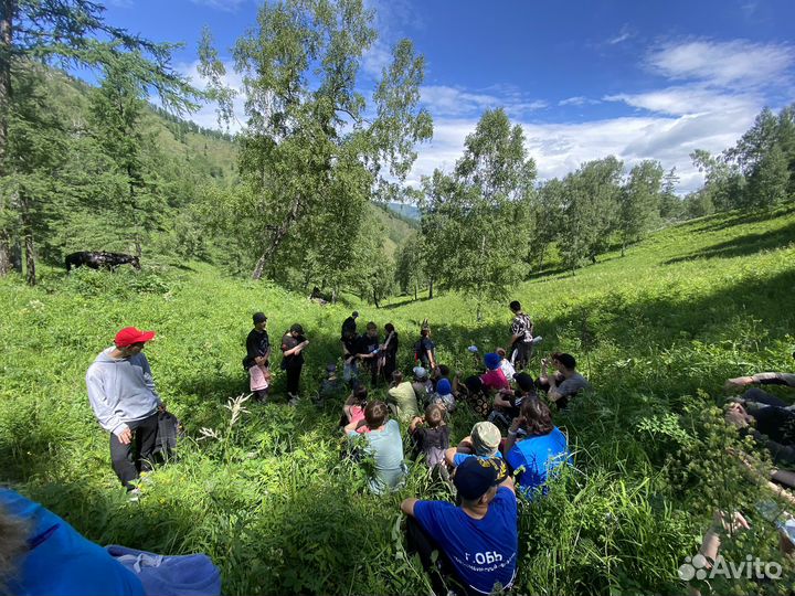 Отдых на Алтае