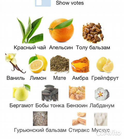 Winter Palace Memo Paris делюсь