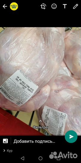 Отходы куриные