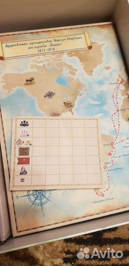 Настольная игра По стопам Дарвина