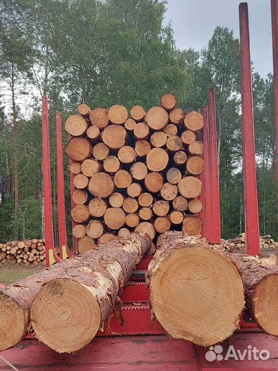 Лес кругляк пиловочник без посредников