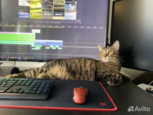 Видеосъемка, видеограф, съемка видео