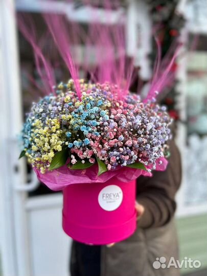 Гипсофила в коробке