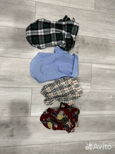 Одежда для собак