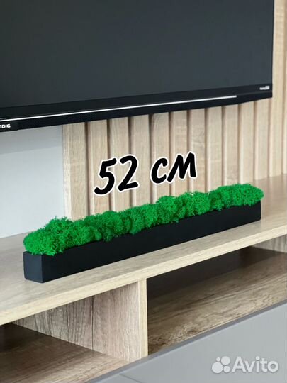 Кашпо со мхом