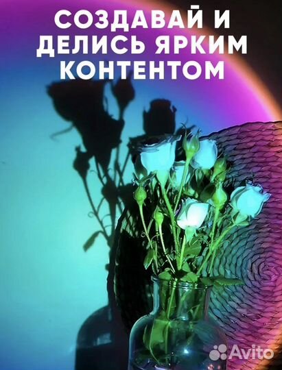 Лампа цветной фон